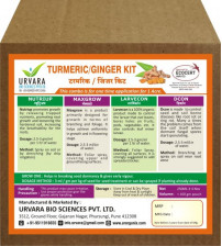 Urvara Turmeric Kit - Organic Kit for Growth, Larvae & Fungal Disease Controller 